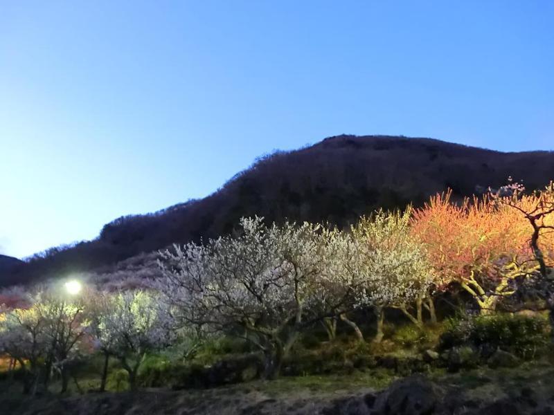 Yugawara Onsen Kawasegien Isuzu Hotel Atami  Exterior foto